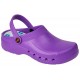 Zueco Violeta