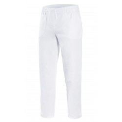 Pantalón Unisex Manga Corta 100% Algodón