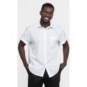 Camisa Clásica. 65% Poliéster - 35% Algodón